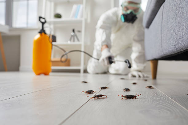 Trusted Mosquito Control service in Friday Harbor, WA - Nex Pest Control