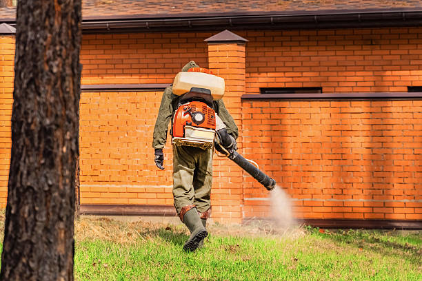 Trusted Bed Bug Control service in Friday Harbor, WA - Nex Pest Control
